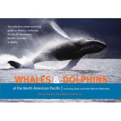 Whales and Dolphins of the North American Pacific: Including Seals and Other Marine Mammals