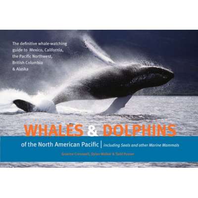 Whales and Dolphins of the North American Pacific: Including Seals and Other Marine Mammals