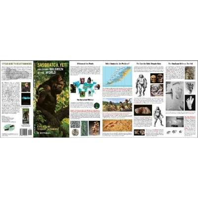 Bigfoot Books :Sasquatch, Yeti and Other Wildmen of the World: A Field Guide to Relict Hominoids