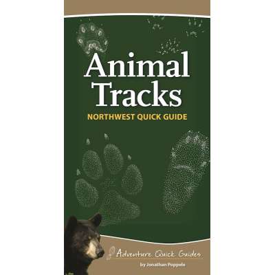 Pacific Coast / Pacific Northwest Field Guides :Animal Tracks of the Northwest