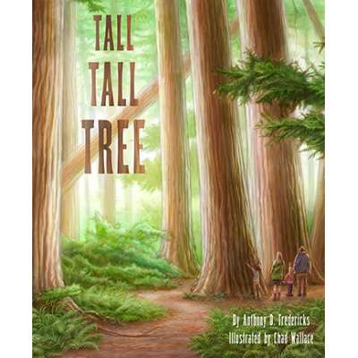 California :Tall Tall Tree