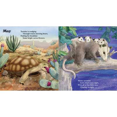 Kids Books about Animals :Daytime Nighttime, All Through the Year