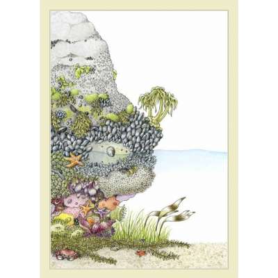 Fylling's Illustrated Guide to Pacific Coast Tide Pools