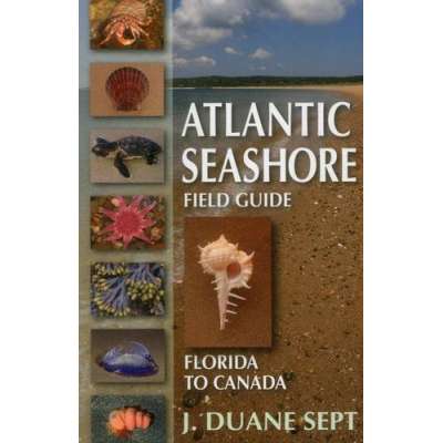 Atlantic Seashore Field Guide: Florida to Canada