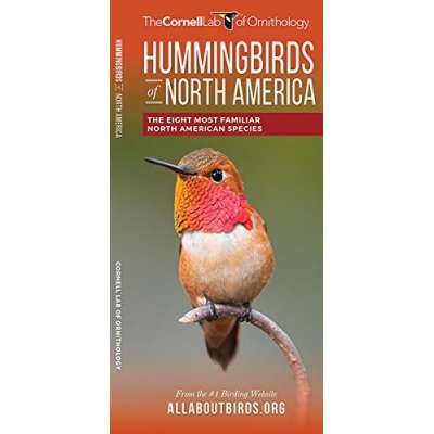 Hummingbirds of North America: The Eight Most Familiar North American Species