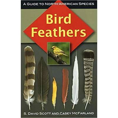 Bird Feathers: A Guide to North American Species