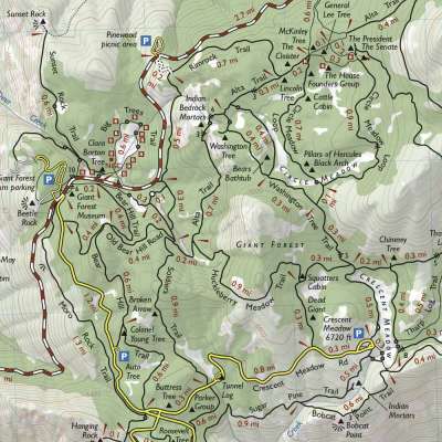 Sequoia and Kings Canyon National Parks: Generals Highway