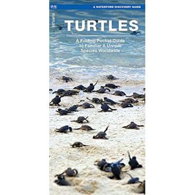 Turtles: A Folding Pocket Guide to the Status of Familiar Species