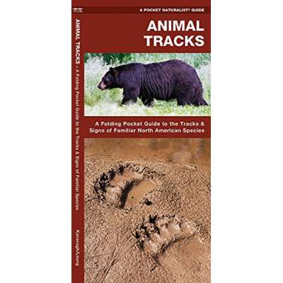 Animal Tracks: A Folding Pocket Guide to the Tracks & Signs of Familiar North American Species