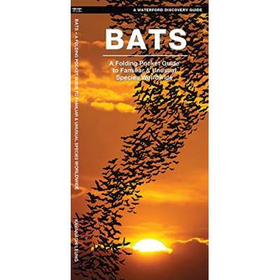 Mammal Identification Guides :Bats: A Folding Pocket Guide to the Status of Familiar Species