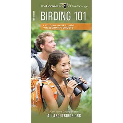 Birding 101: A Folding Pocket Guide for Beginning Birders