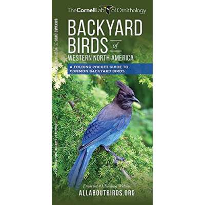 Backyard Birds of Western North America: A Folding Pocket Guide to Common Backyard Birds