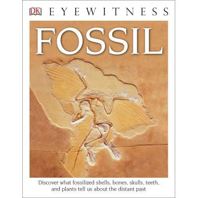 DK Eyewitness Books: Fossil