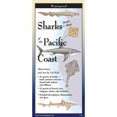 Sharks, Skates & Rays Of The Pacific Coast