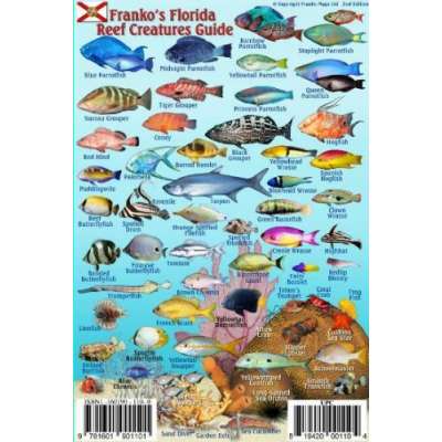 Florida Reef Creatures Guide LAMINATED CARD