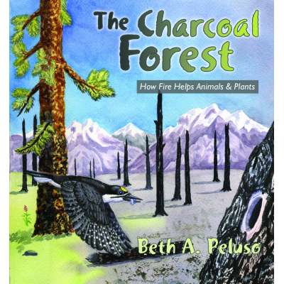 The Charcoal Forest: How Fire Helps Animals and Plants