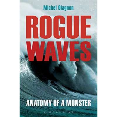 Rogue Waves: Anatomy of a Monster