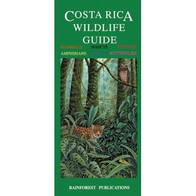 Costa Rica Wildlife Guide