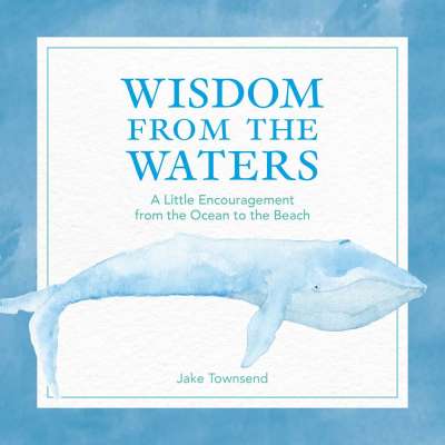 Wisdom from the Waters: A Little Encouragement from the Ocean to the Beach