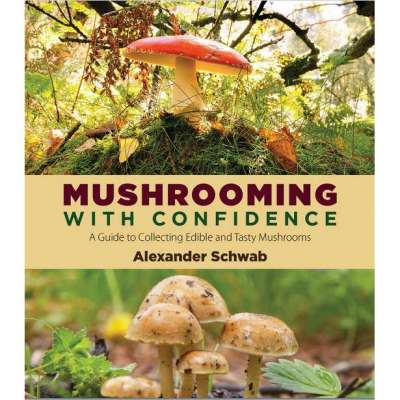 Mushrooming with Confidence: A Guide to Collecting Edible and Tasty Mushrooms