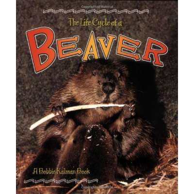Kids Books about Animals :The Life Cycle of a: Beaver