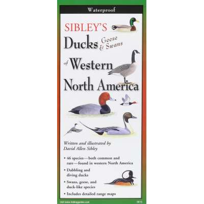 Bird Identification Guides :Sibley's Ducks, Geese,& Swans of Western N.A.