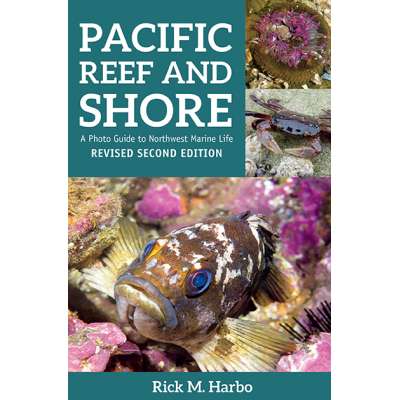 Pacific Reef & Shore: A Photo Guide to Northwest Marine Life from Alaska to Northern California 2nd Edition