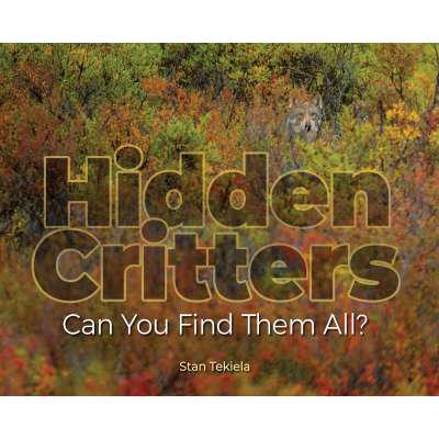 Hidden Critters: Can You Find Them All?