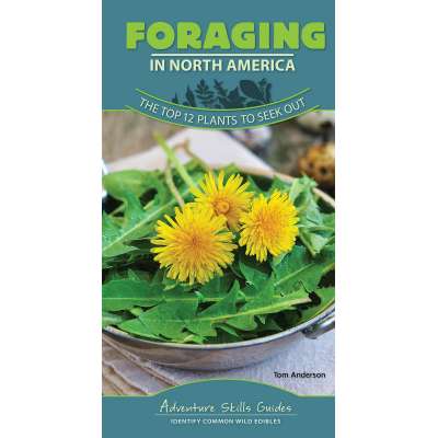 Adventure Skills Guides: Foraging in North America: The Top 12 Plants to Seek Out