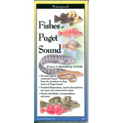 Fishes of Puget Sound
