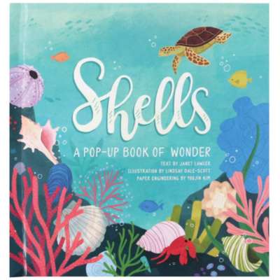 Pop-Up Books :Shells: A Pop-Up Book of Wonder