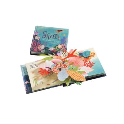 Shells: A Pop-Up Book of Wonder