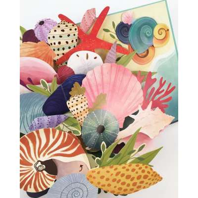 Shells: A Pop-Up Book of Wonder