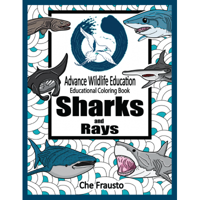 Sharks and Rays Educational Coloring Book