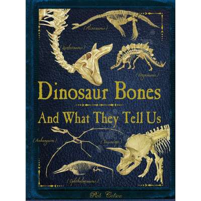 Dinosaur Bones: And What They Tell Us