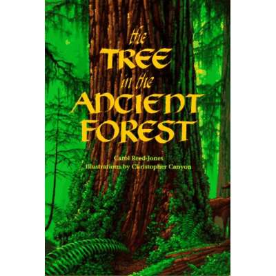 Environment & Nature Books for Kids :The Tree in the Ancient Forest