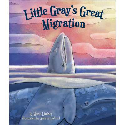 Marine Mammals :Little Gray's Great Migration