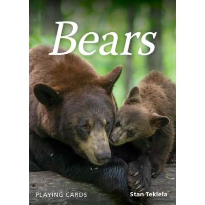 Bears Playing Cards