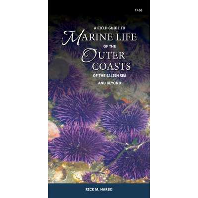 A Field Guide to Marine Life of the Outer Coasts of the Salish Sea and Beyond