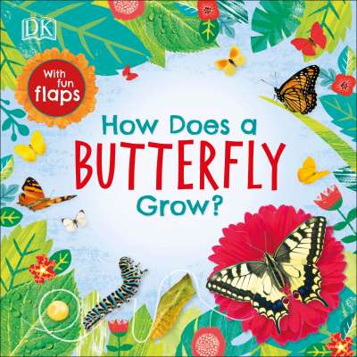 Butterflies, Bugs & Spiders :How Does a Butterfly Grow?