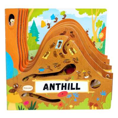 Butterflies, Bugs & Spiders :Anthill