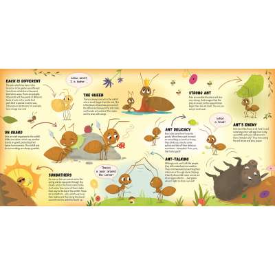 Butterflies, Bugs & Spiders :Anthill