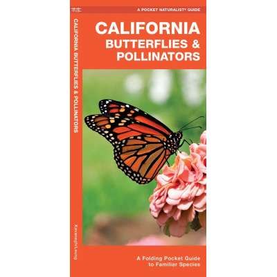 California Butterflies & Pollinators: A Folding Pocket Guide to Familiar Species