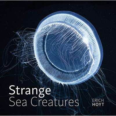 Fish, Sealife, Aquatic Creatures :Strange Sea Creatures