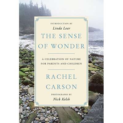 Environment & Nature Books for Kids :The Sense of Wonder: A Celebration of Nature for Parents and Children