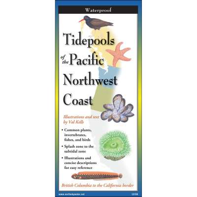 Pacific Coast / Pacific Northwest Field Guides :Tidepools of the Pacific Northwest Coast (Pocket Guide)