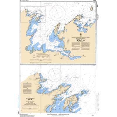 CHS Chart 4509: Pistolet Bay