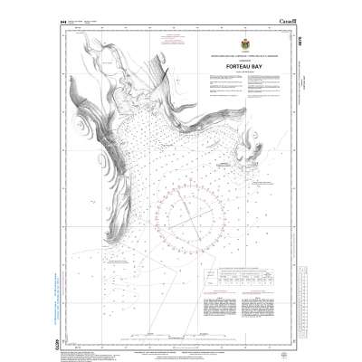 Atlantic Region Charts :CHS Chart 4670: Forteau Bay