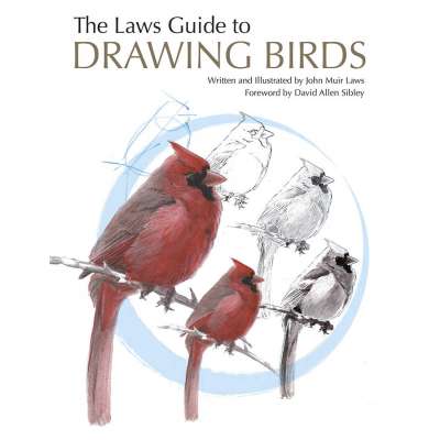 The Laws Guide to Drawing Birds