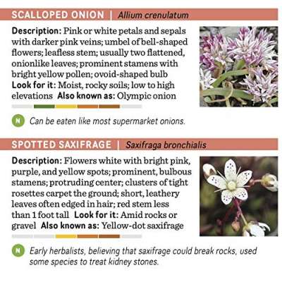 Pacific Northwest Wildflowers: A Pocket Reference